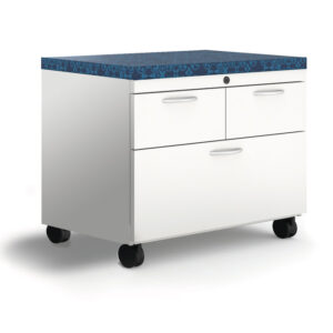 Ludington Mobile Cushion File Center